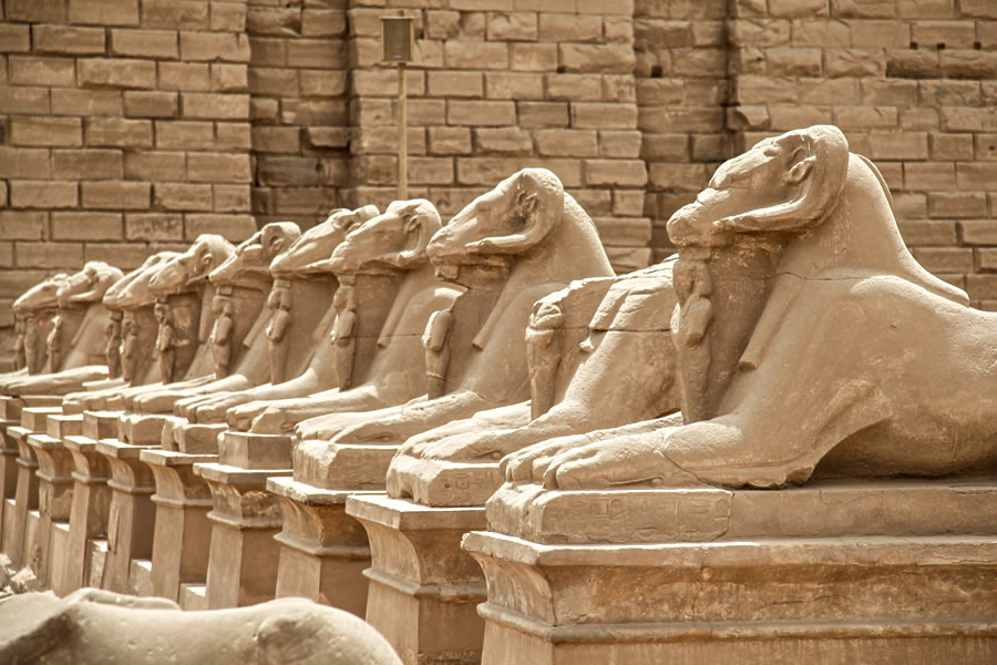 Rams at Karnak